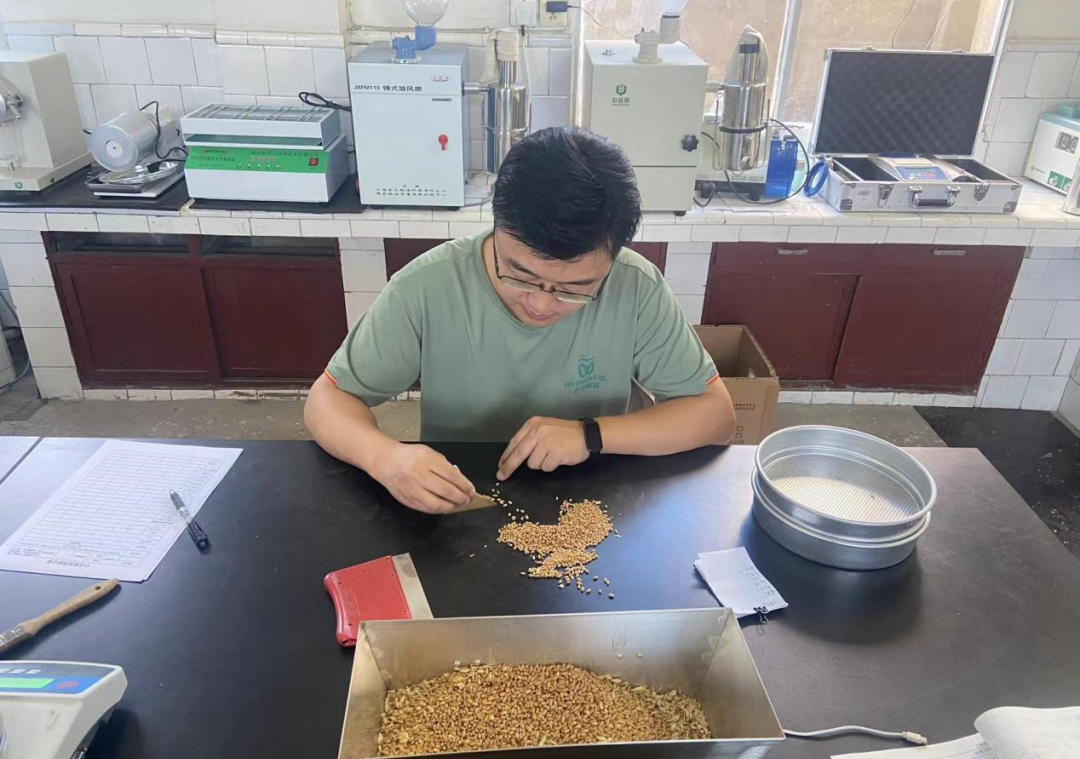 GA黄金甲(中国)最新官方网站