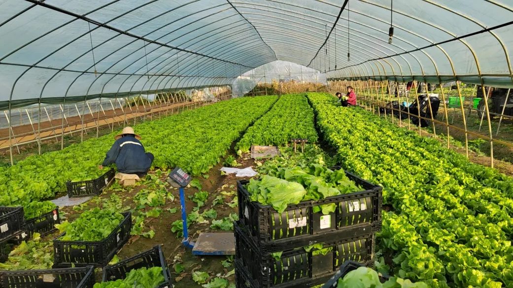 GA黄金甲(中国)最新官方网站